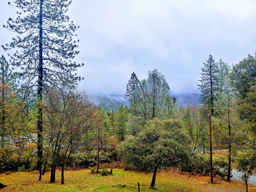 Discover our Latest MCLE Courses, California Deadline is January 31 2023
