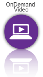 Special 25 hours You Choose On Demand Livestream - $199