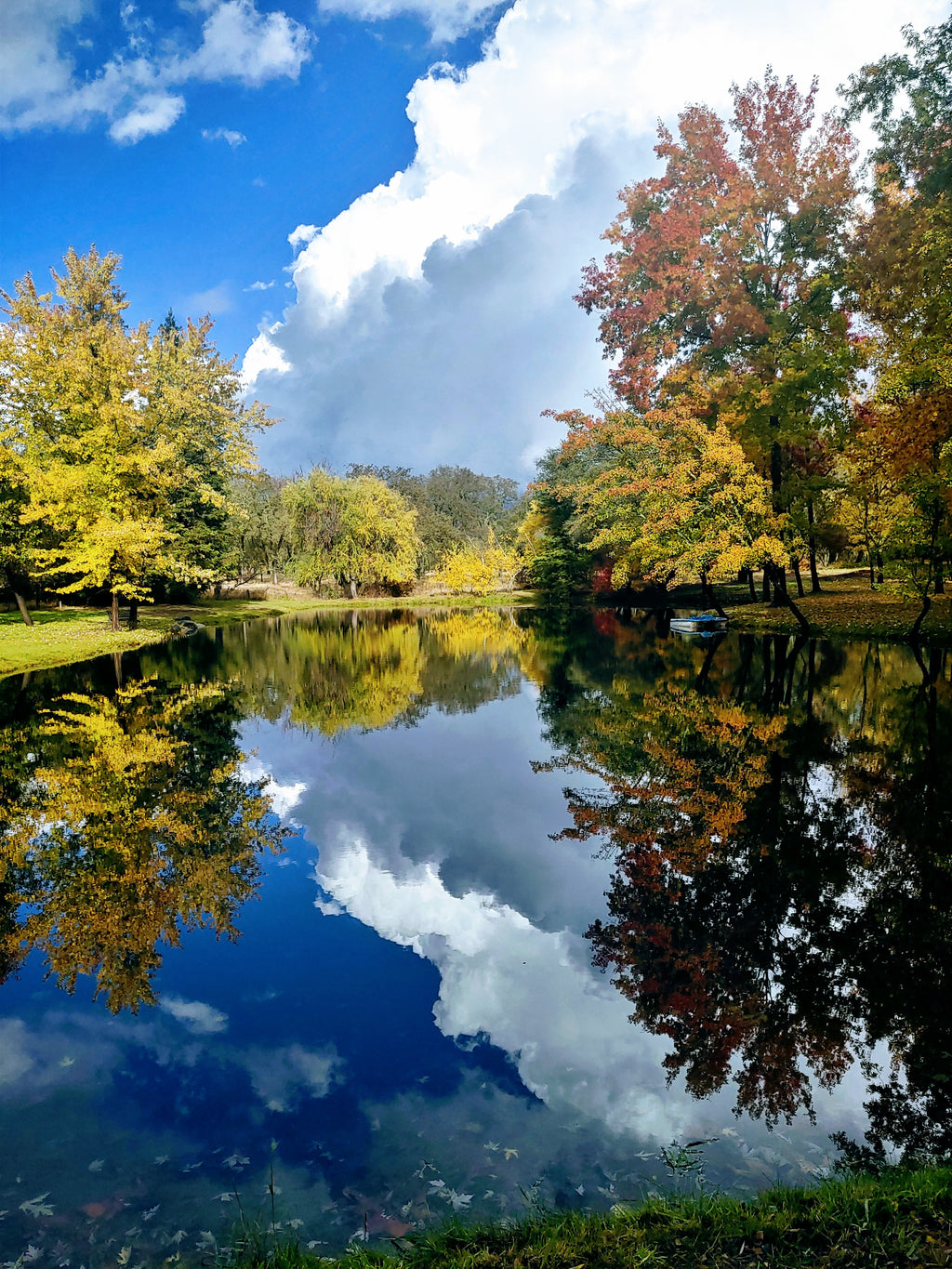 Course 700 Covid-19 Regional Lockdown Orders and ICU Capacity