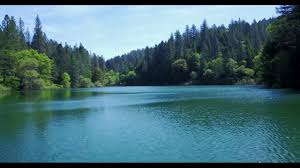 #102 Civil Law for Criminal Attorneys